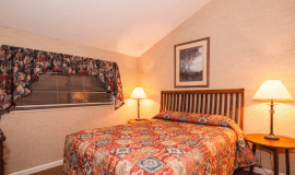 Tridisney Pocono Mountail Villas